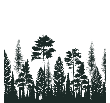 Texture coaster silhouette of tall pines - TenStickers