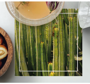 Cactus texture surface texture coaster - TenStickers