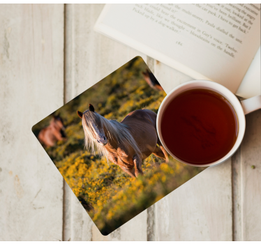 Modern coasters majestic horse in field - TenStickers