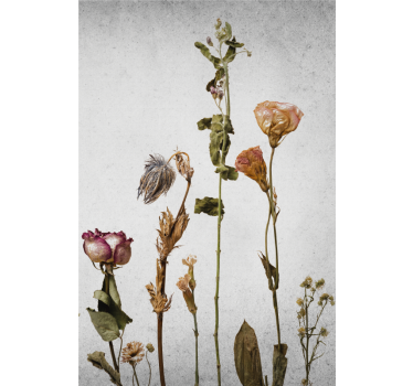 Flowers poster dried floral arrangement art - TenStickers
