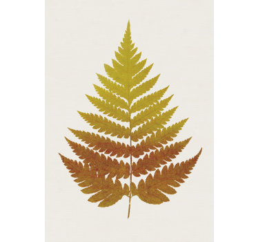 Golden ferns leaf plant poster - TenStickers