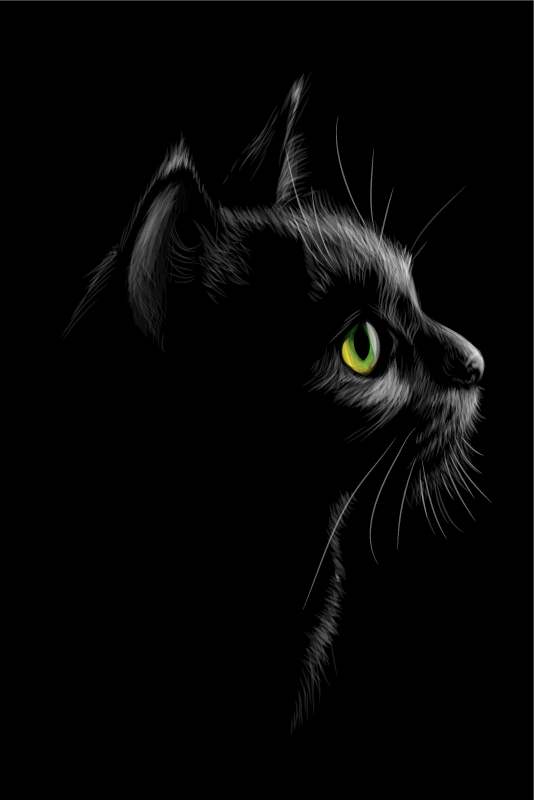 Living room poster green-eyed cats - TenStickers