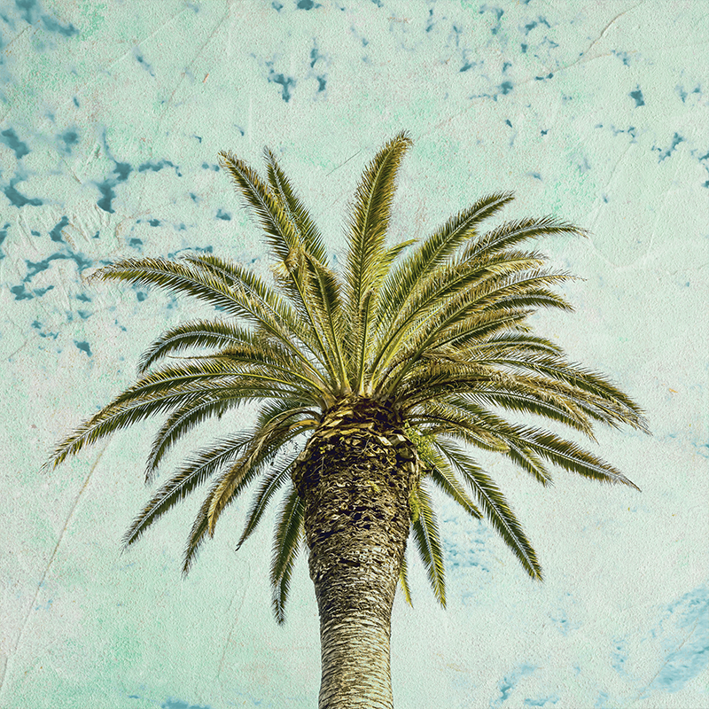 Living room poster with retro palm tree design - TenStickers