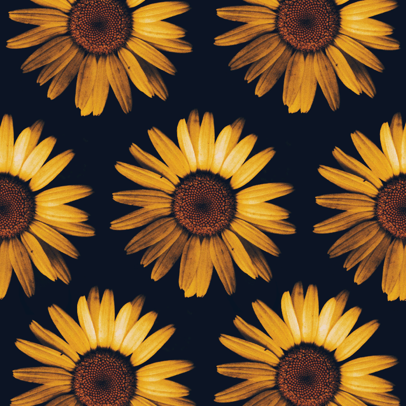 Living room poster yellow sunflower art print - TenStickers