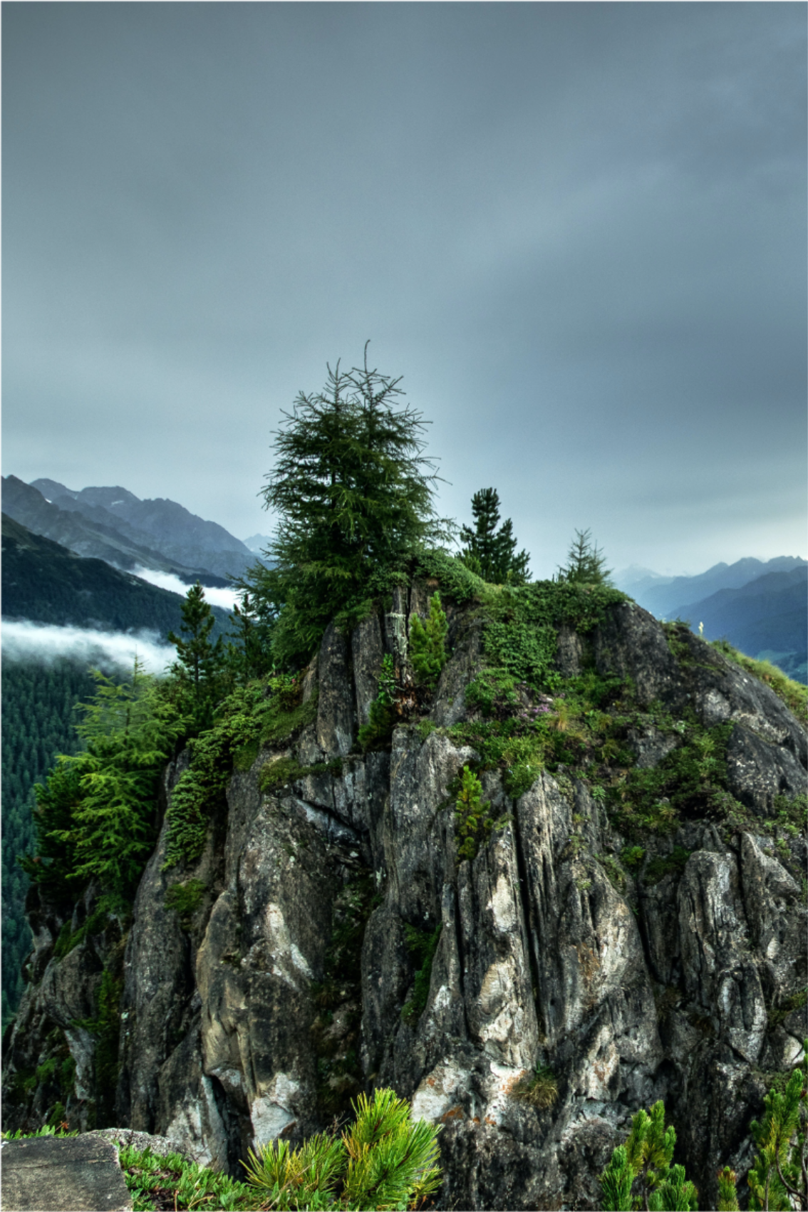 Living room poster of a single rock in green forest - TenStickers