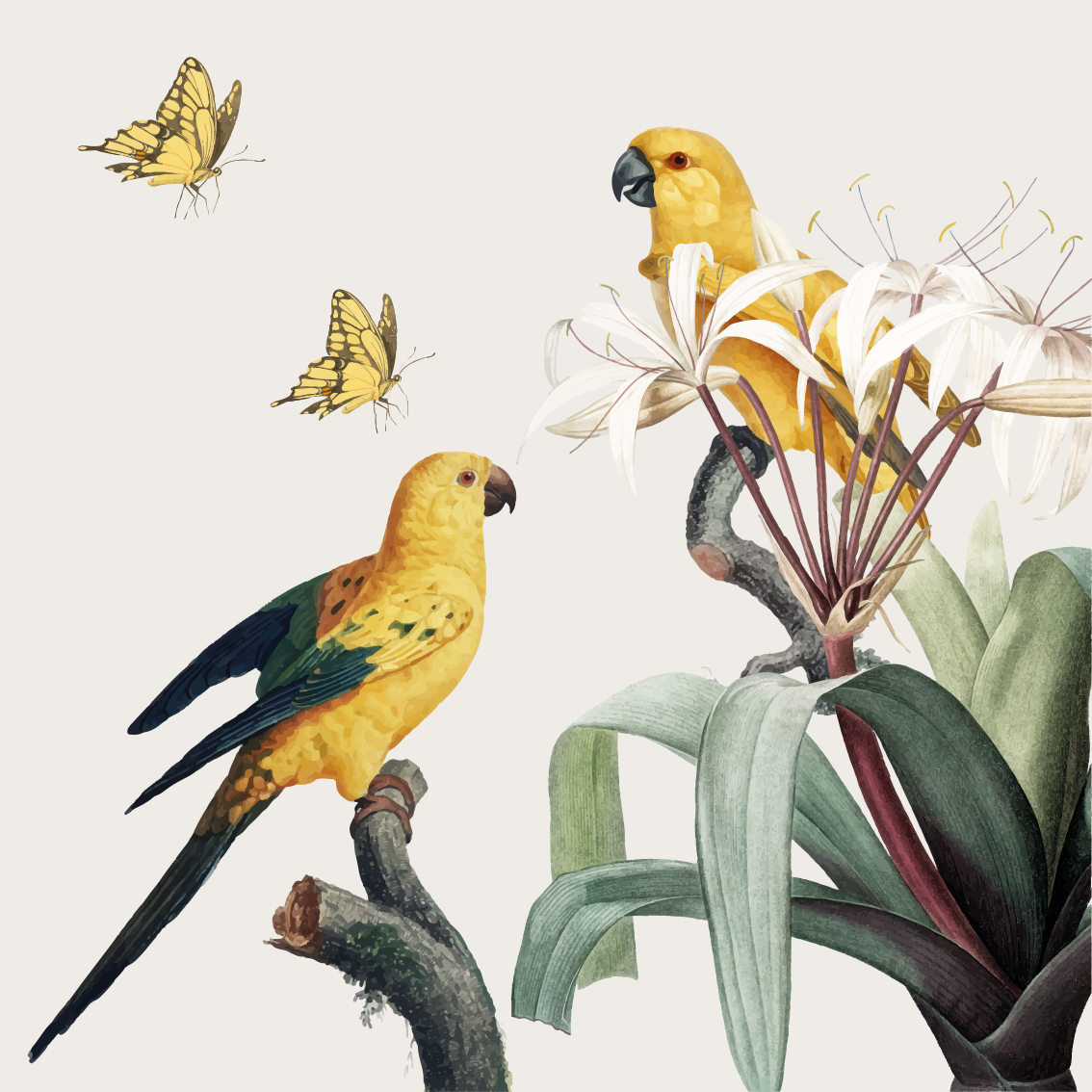 Living room poster with parrots, yellow flowers, butterflies - TenStickers