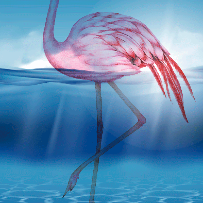 Living room poster of underwater flamingo design - TenStickers