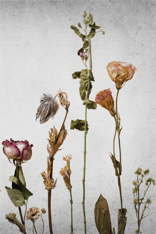 Flowers poster dried floral arrangement art - TenStickers