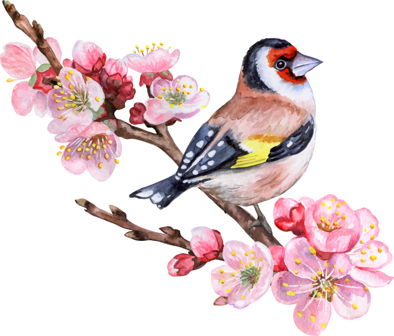 Tree poster of spring branches with birds - TenStickers