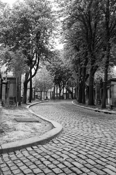 Landscape poster black and white vinyl pathway - TenStickers