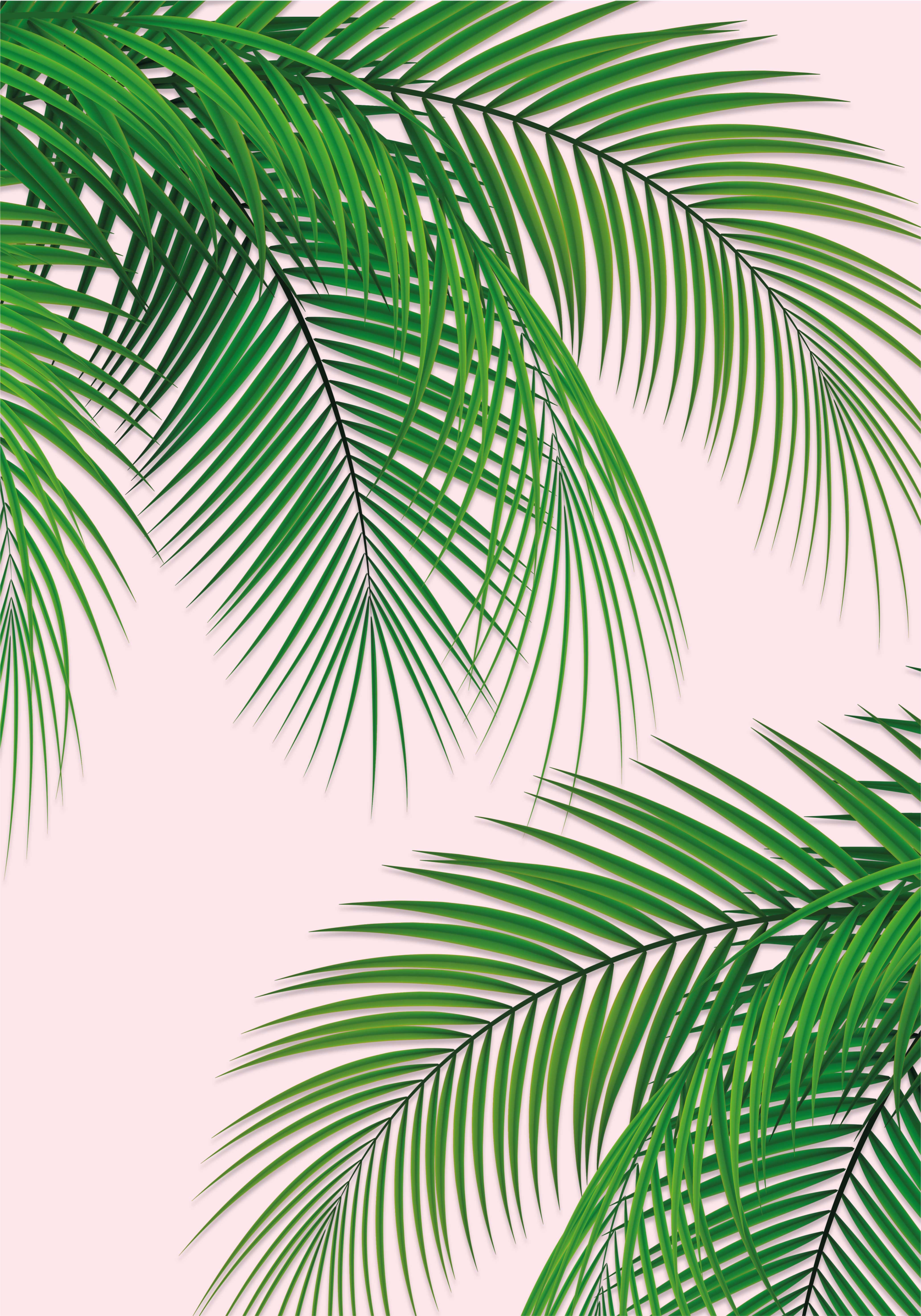 Tropical Leaf tree poster wall - TenStickers