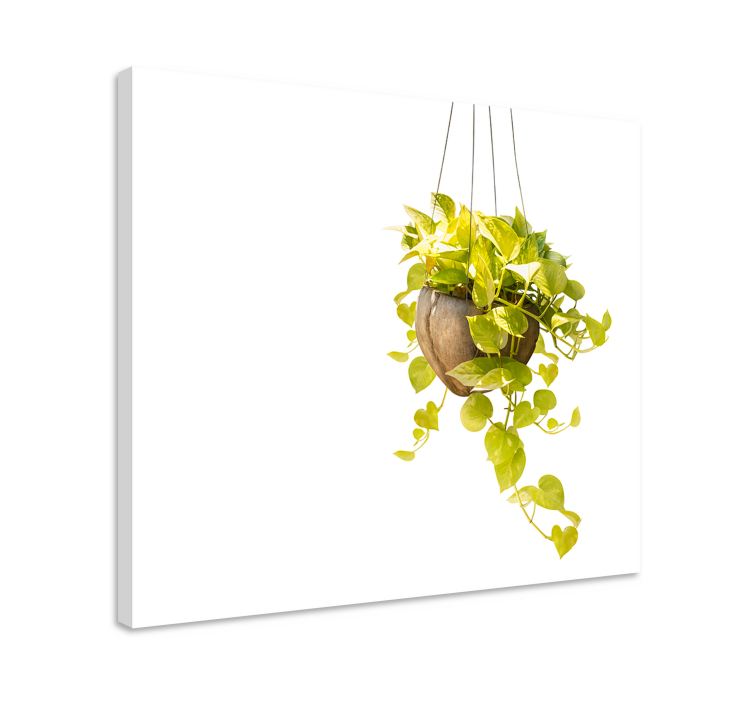Flowers canvas hanging greenery display - TenStickers