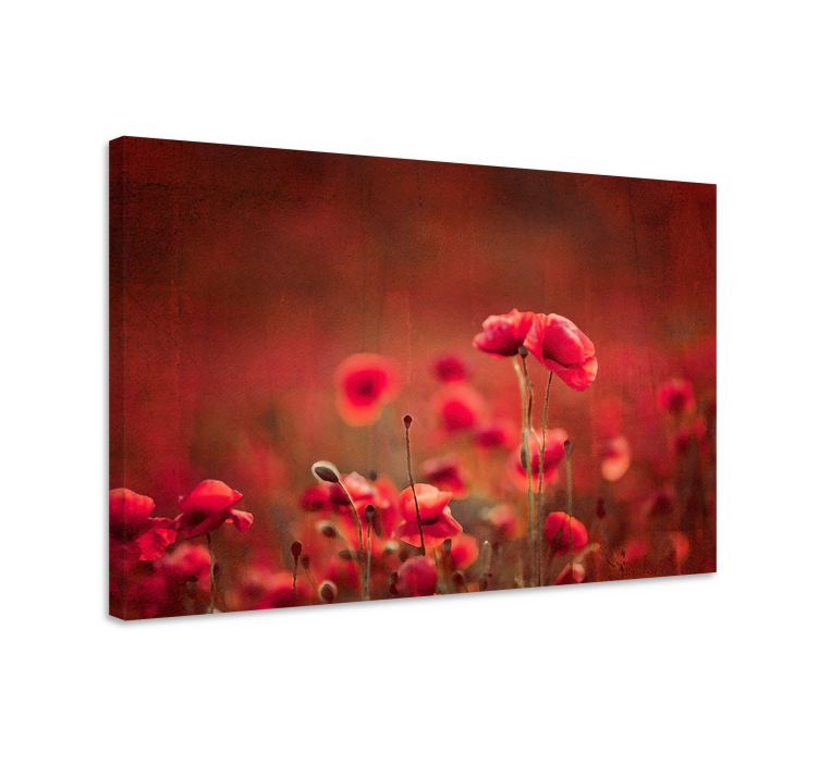 Flowers canvas radiant poppy meadow - TenStickers
