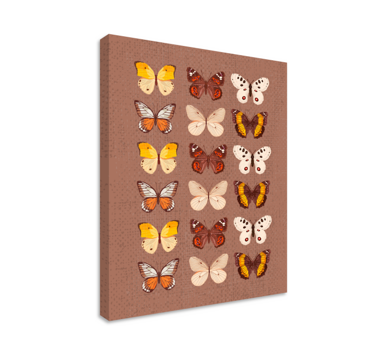 Butterfly canvas colorful butterfly showcase - TenStickers
