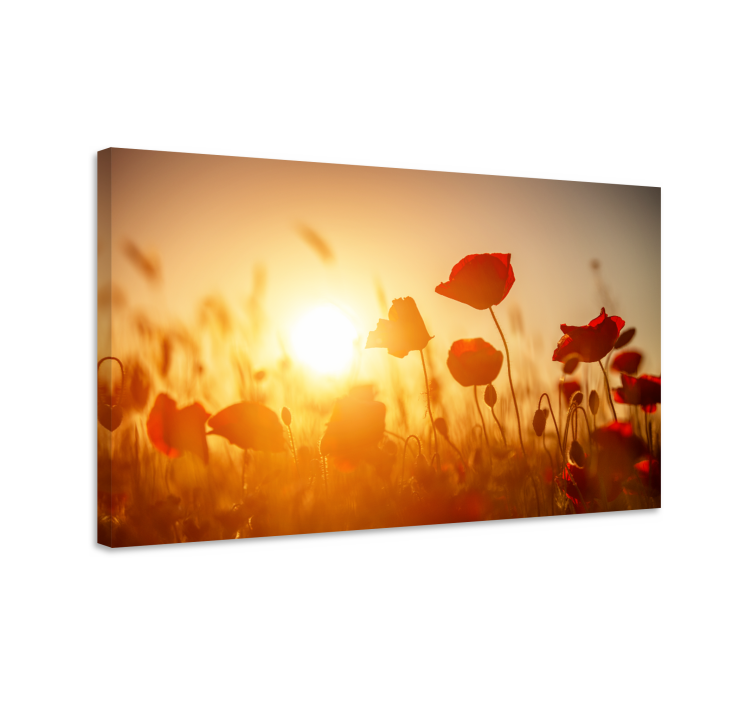 Flowers canvas poppy field radiance - TenStickers