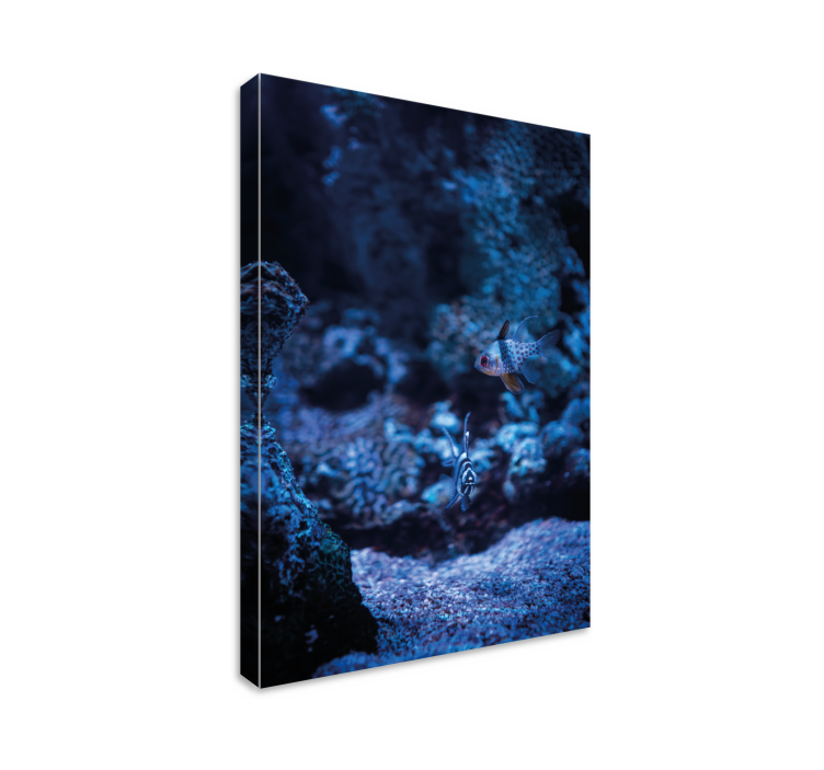 Water and blue corals fish canvas - TenStickers