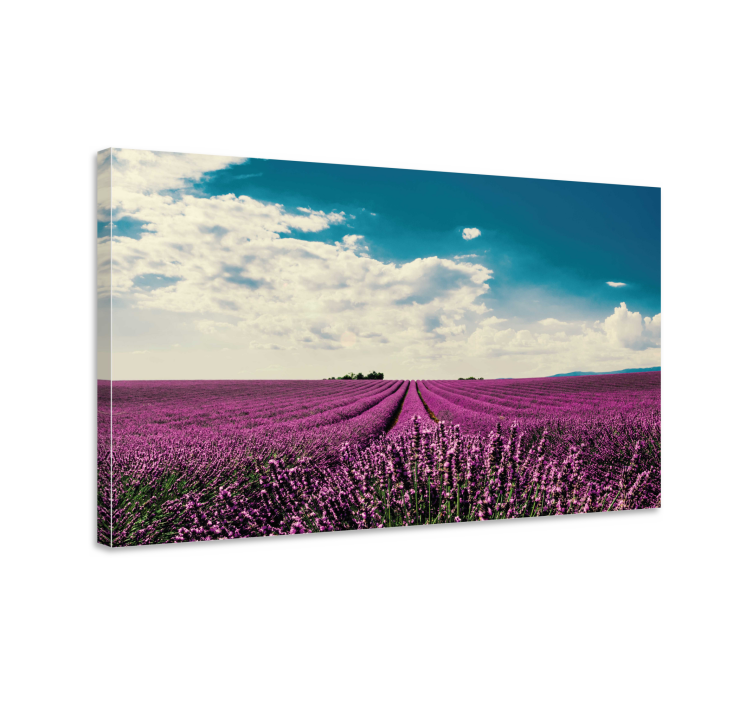 Flowers canvas lavender field view - TenStickers