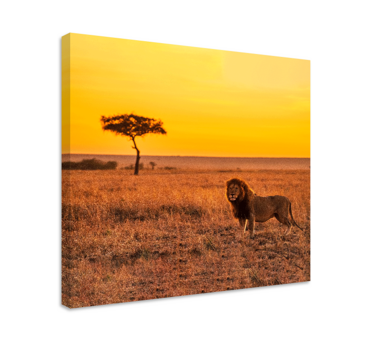 Wild savanna tree in the evening canvas prints - TenStickers
