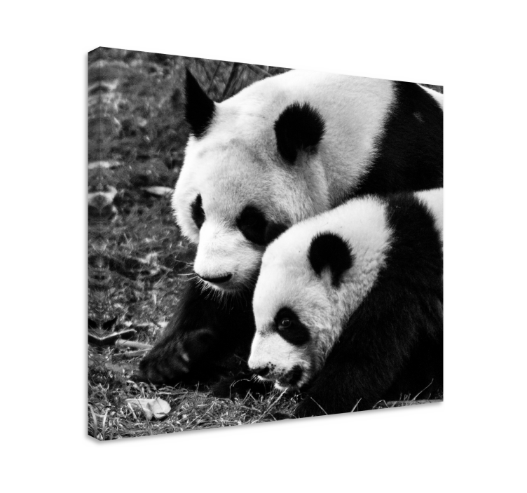Animal canvas wall art panda pair embrace - TenStickers