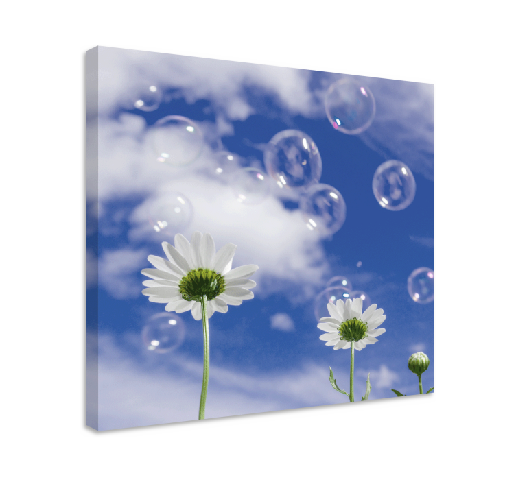 DAISIES AND BUBBLES Flowers  canvas - TenStickers