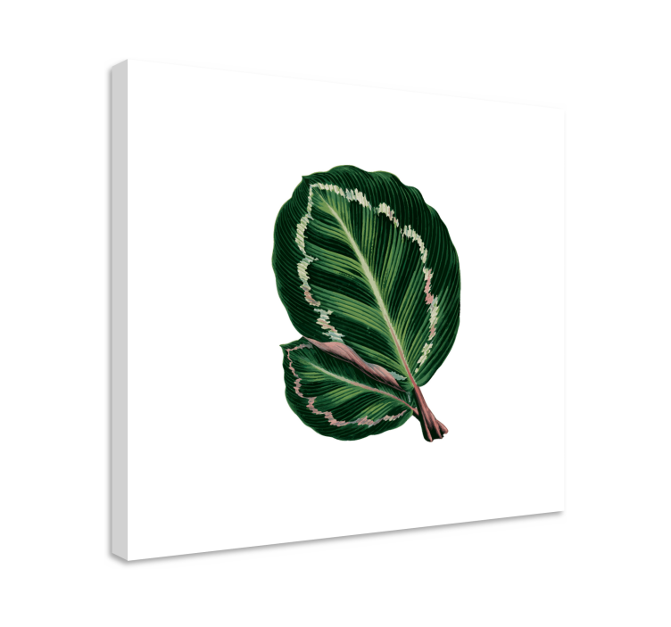Flowers canvas large leaf pattern - TenStickers