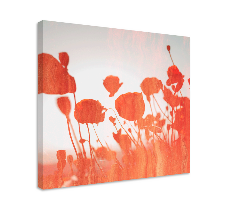 Flowers canvas delicate blooming poppies - TenStickers