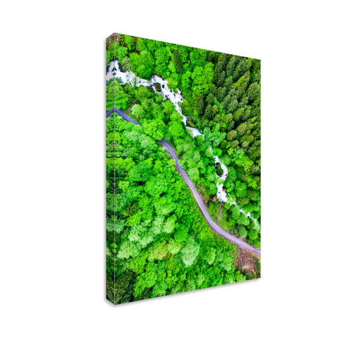 Winding forest river landscape canvas - TenStickers