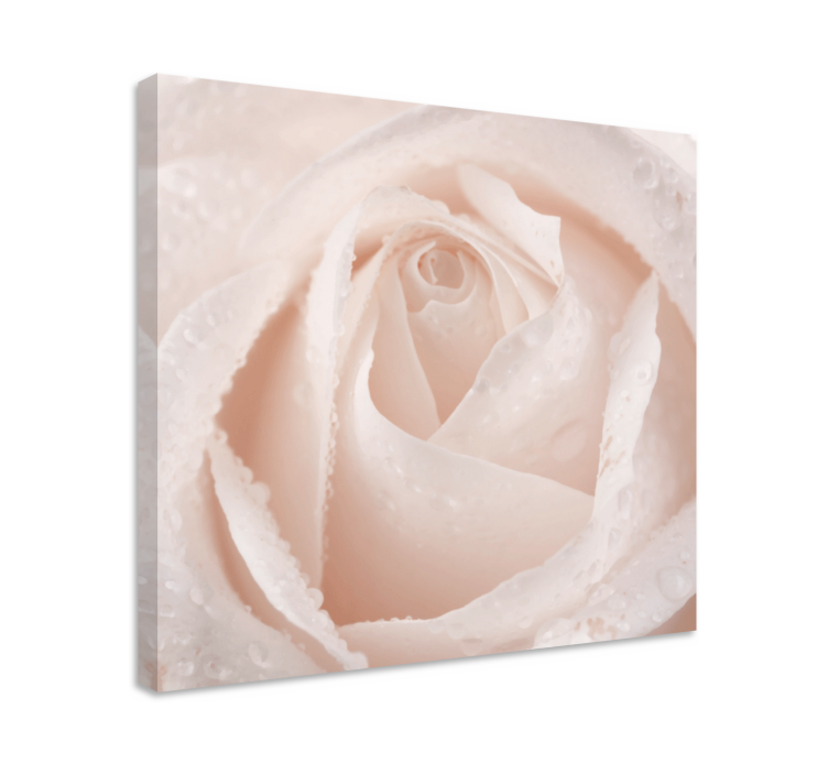 Flowers canvas elegant rose blossom - TenStickers