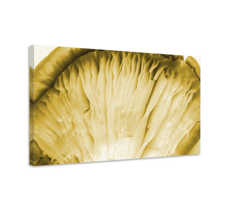 Flowers canvas mushroom gills artwork - TenStickers