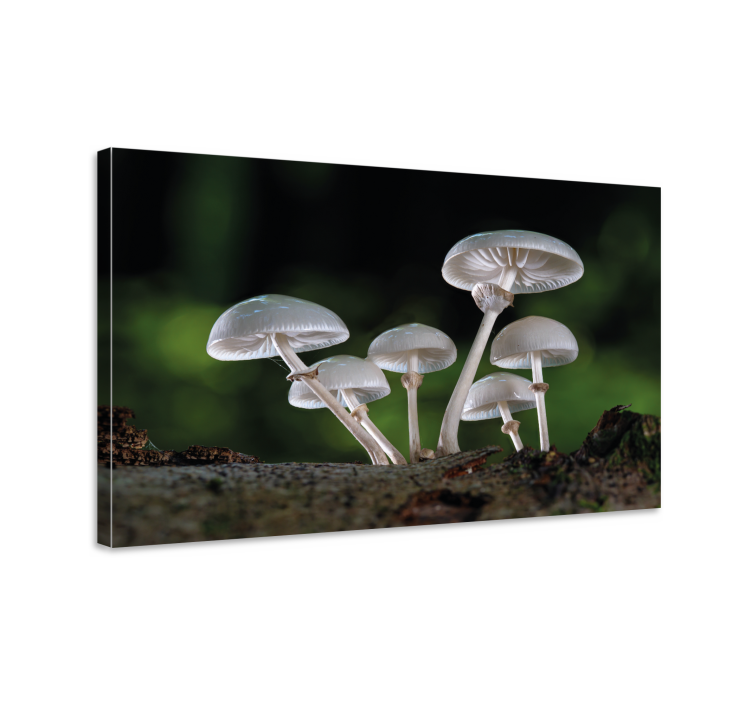 Flowers canvas mushroom forest art print - TenStickers