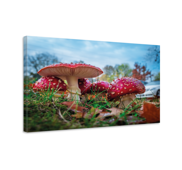 Flowers canvas red mushroom cluster - TenStickers