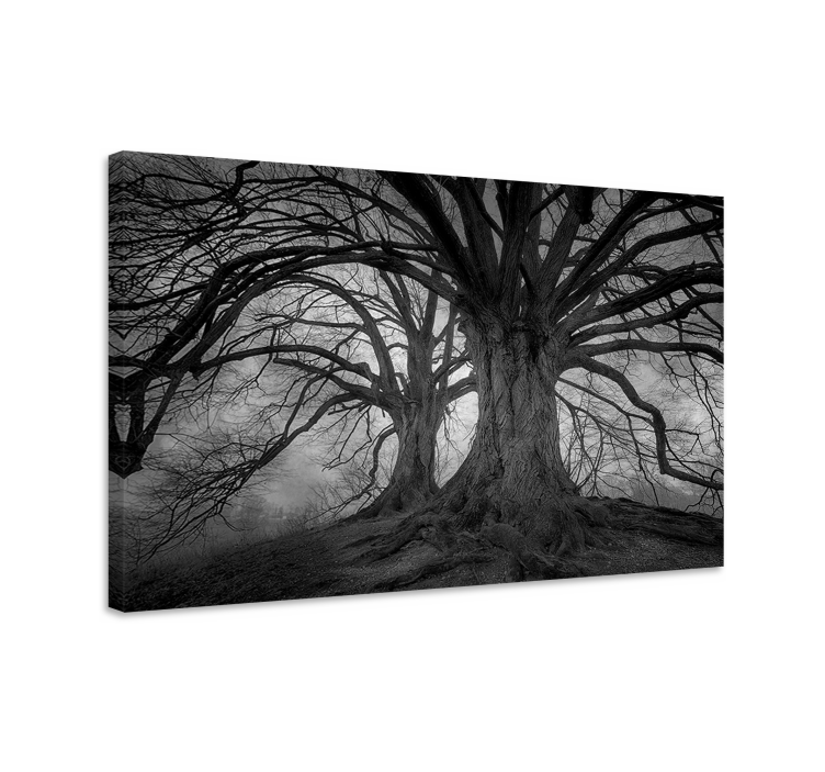 Mysterious leafless trees tree canvas wall art - TenStickers