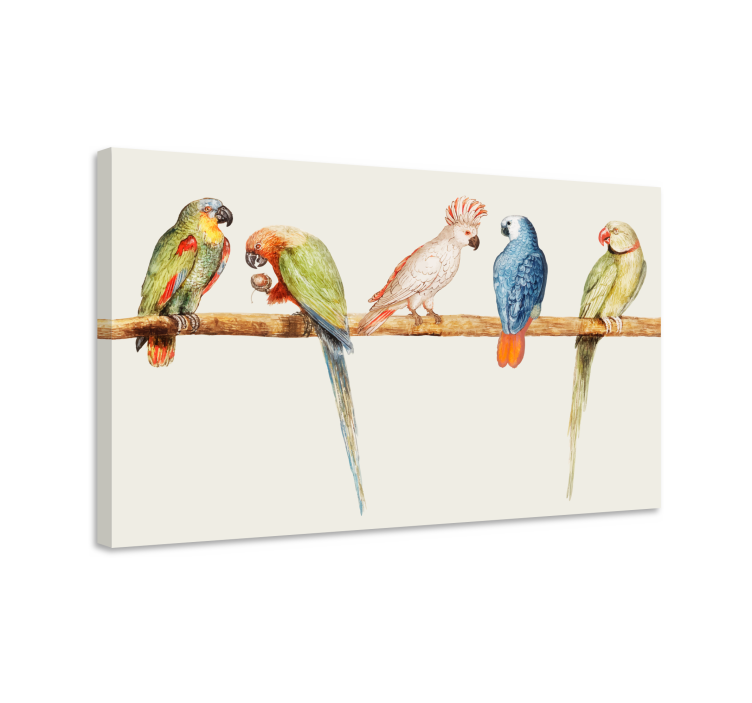 Dog wall art colorful parrot collection - TenStickers