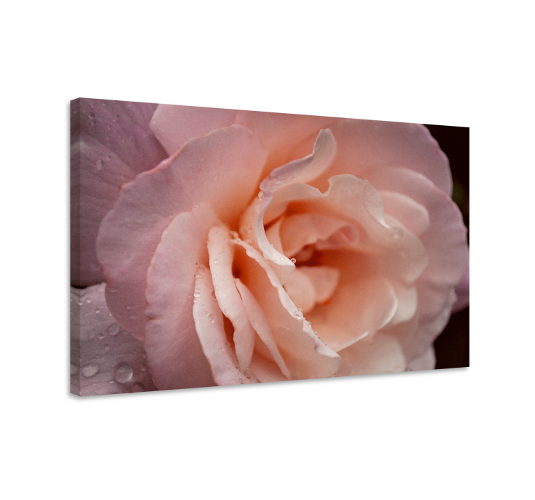 Flowers canvas delicate rose bloom art print - TenStickers