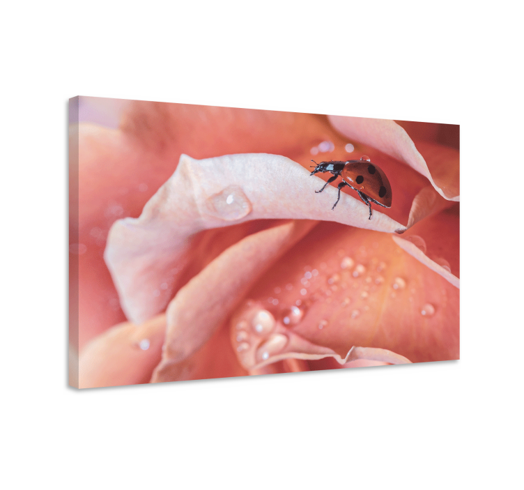 Flowers canvas ladybug on rose - TenStickers