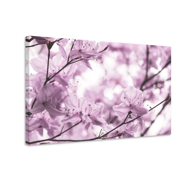 Delicate floral blooms flowers canvas - TenStickers