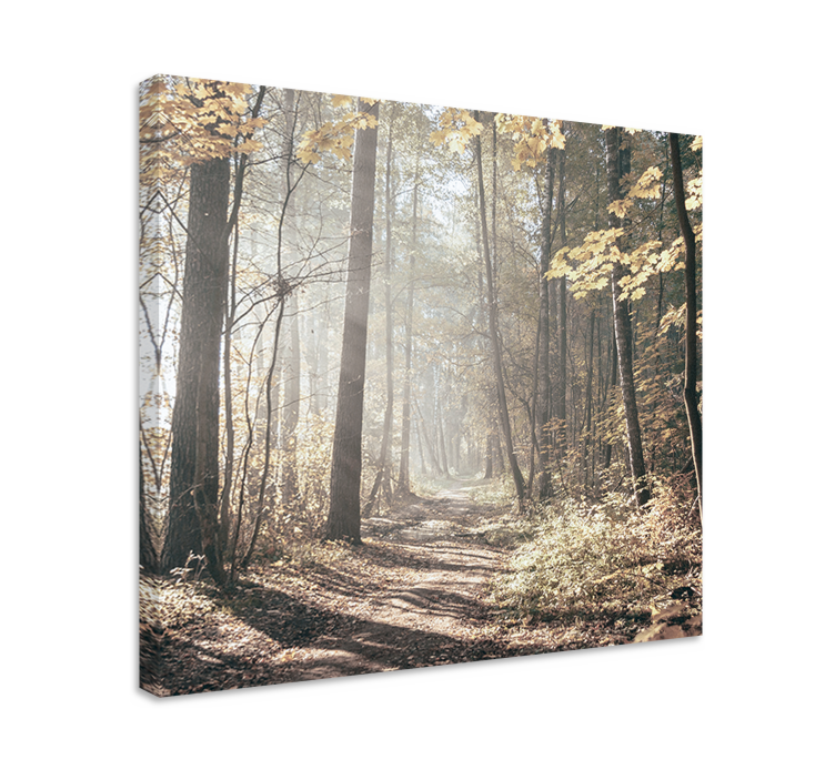 Landscape canvas mist covered path - TenStickers