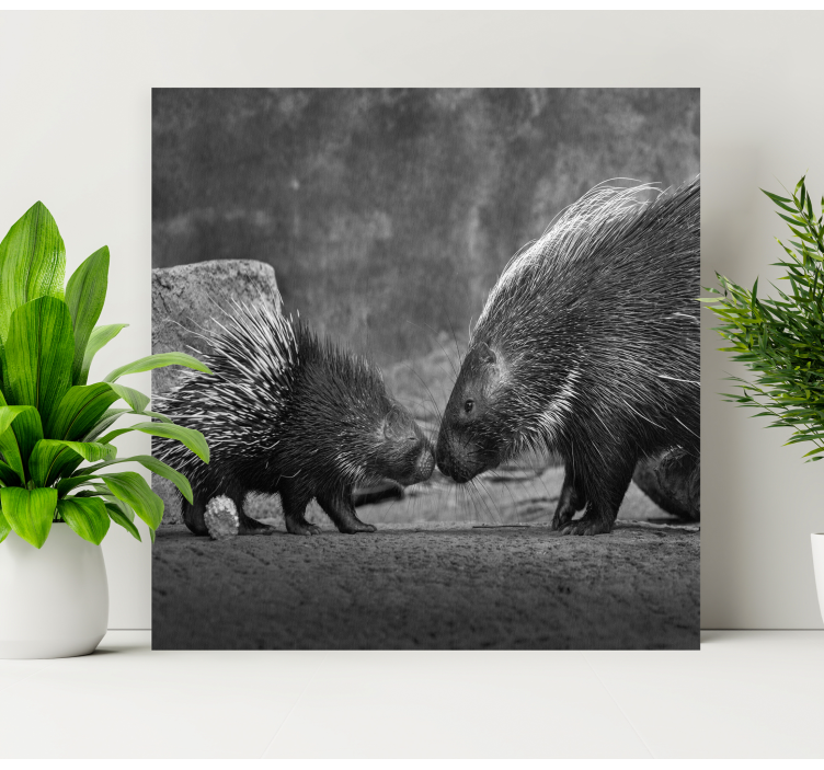 Animal canvas wall art porcupine encounter - TenStickers