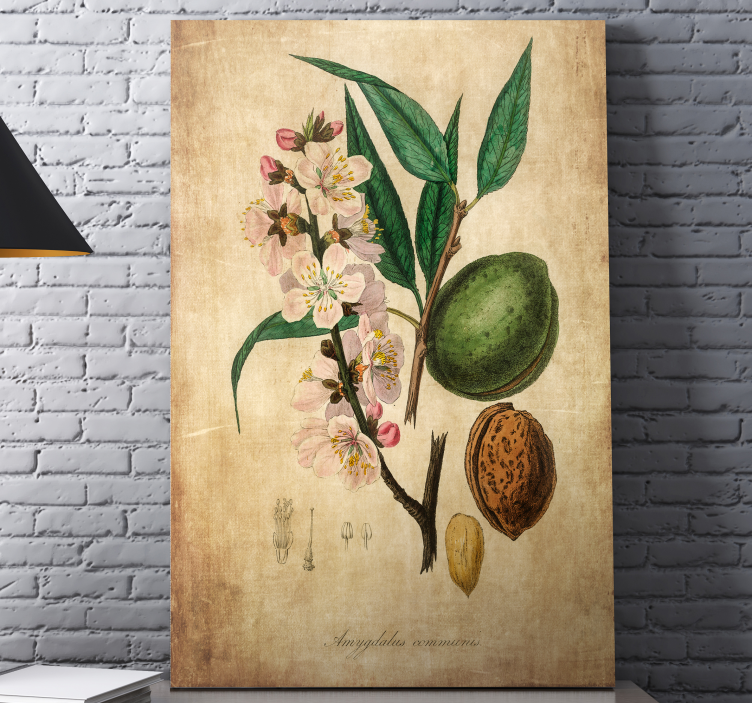 Botanical Illustration Flowers  canvas - TenStickers