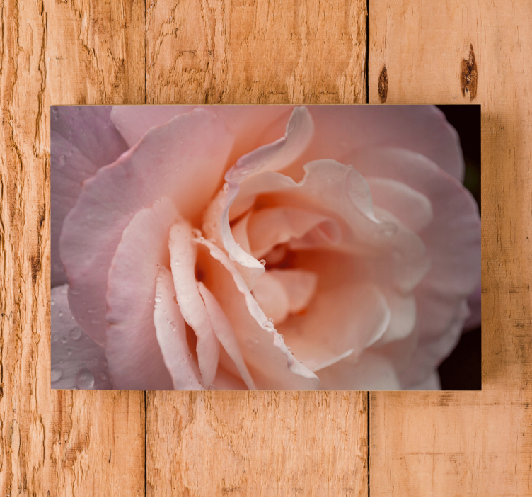Flowers canvas delicate rose bloom art print - TenStickers
