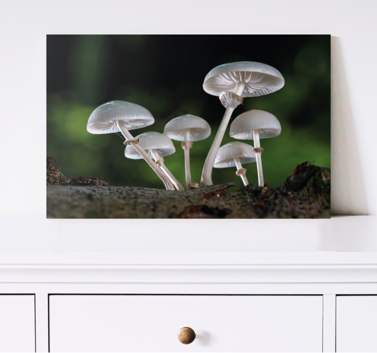 Flowers canvas mushroom forest art print - TenStickers