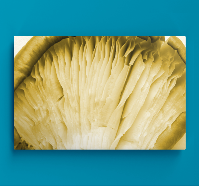 Flowers canvas mushroom gills artwork - TenStickers