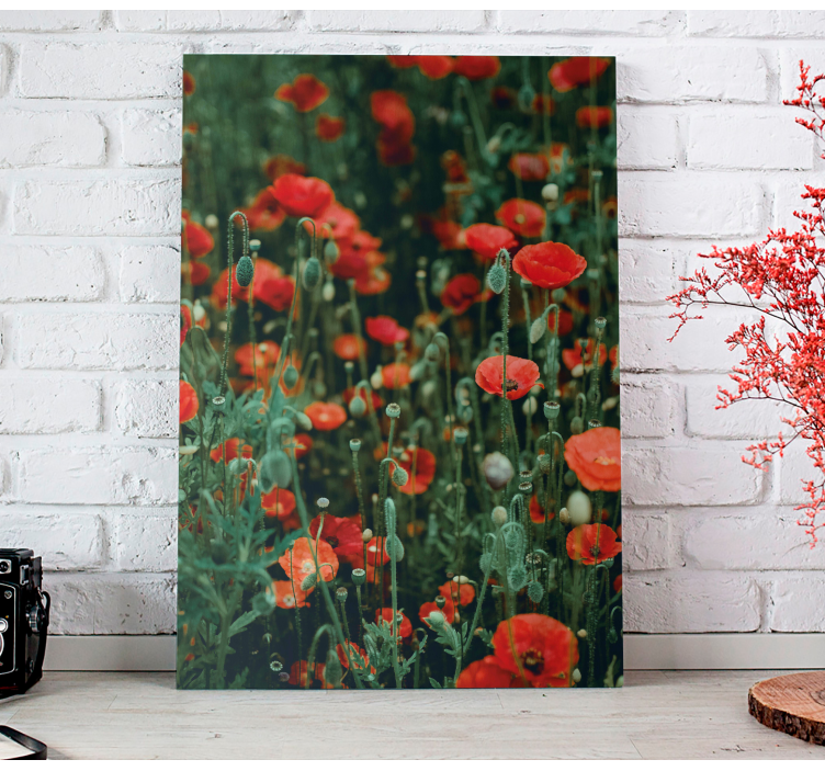 Flowers canvas red wildflowers field - TenStickers