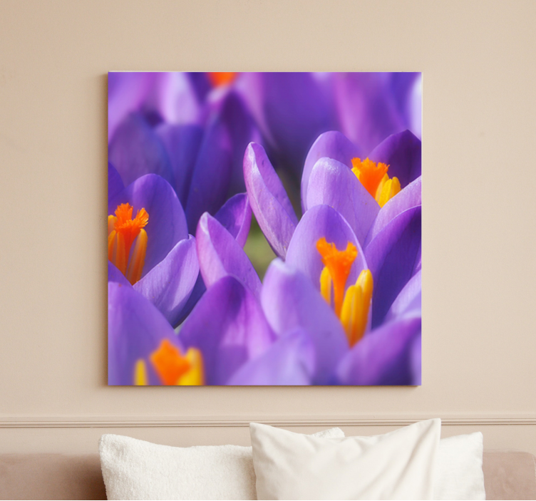 Flowers canvas vibrant crocus blooms - TenStickers