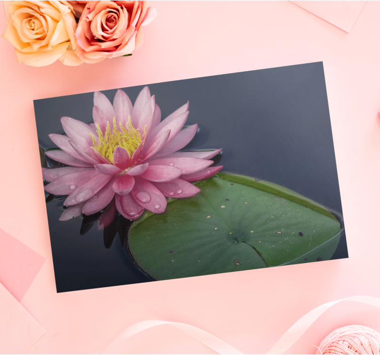 Flowers canvas water lily bloom - TenStickers