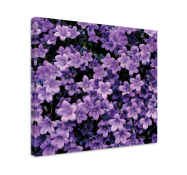 Vague purple flowers floral canvas - TenStickers