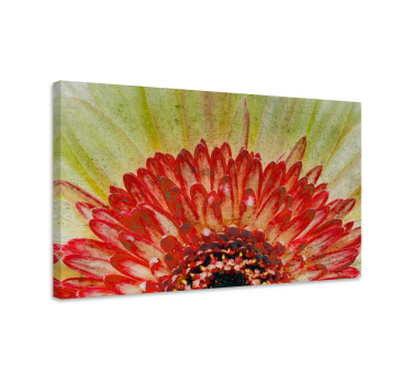 Flowers canvas with bright floral detail - TenStickers