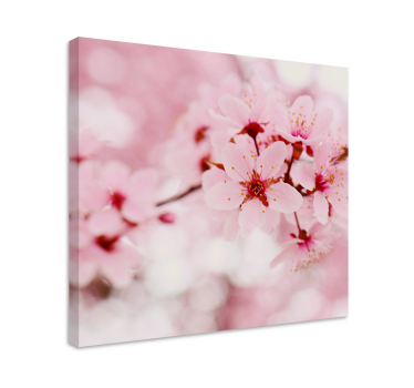 Pink bloom Photography art floral canvas - TenStickers