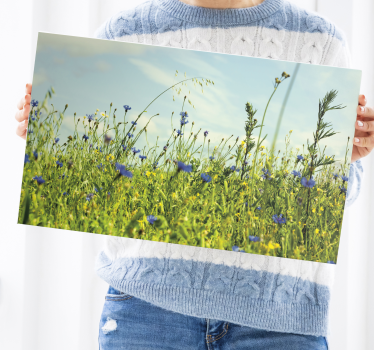cornflower field picture floral canvas - TenStickers
