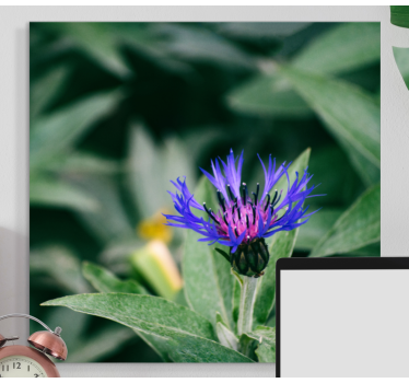 Flowers canvas delicate purple blossom - TenStickers